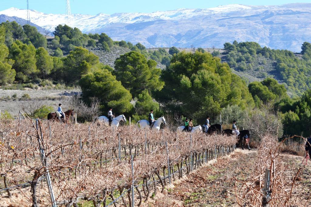 Hotel & Winery Senorio De Nevada Villamena Kültér fotó