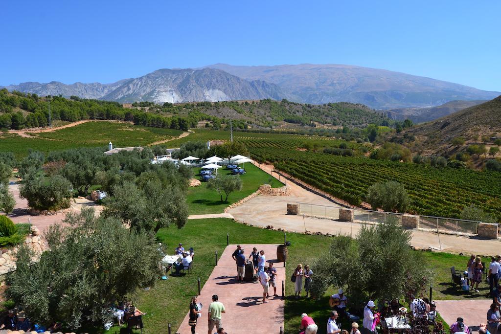 Hotel & Winery Senorio De Nevada Villamena Kültér fotó